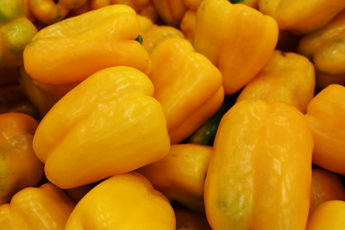 Ernährungsberatung und gesunde Lebensweise